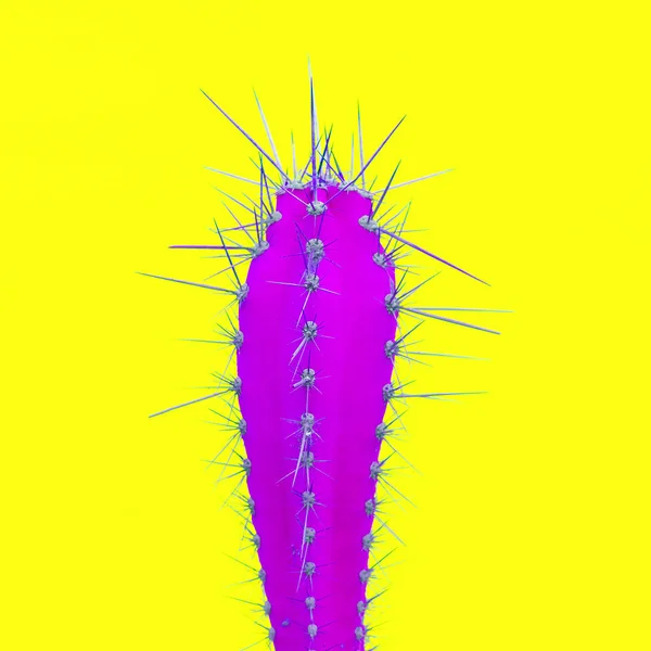 Cactus Liefhebbers Minimaal Ontwerp Cactus Kleurrijke Kunst — Stockfoto