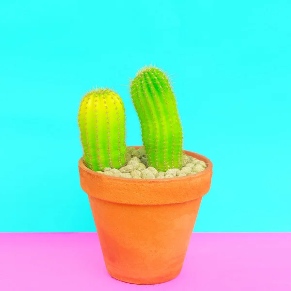 Gli Amanti Dei Cactus Concetto Minimo Arte Del Cactus — Foto Stock