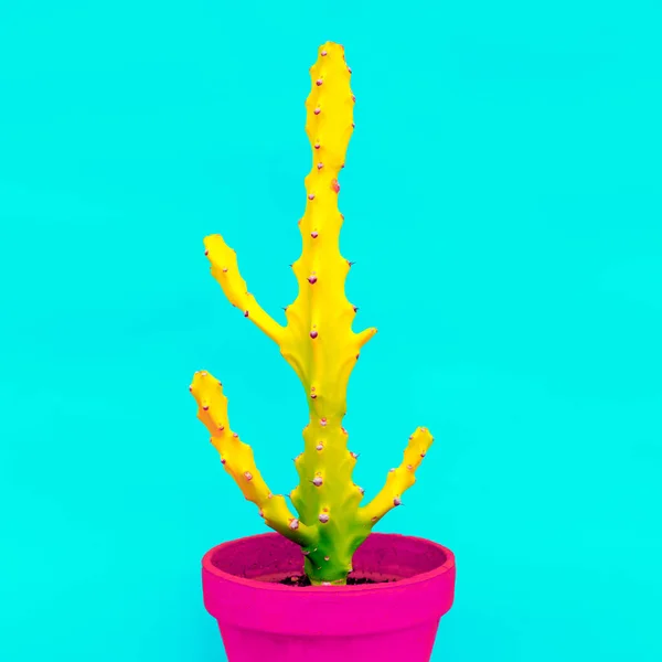 Kaktusar Potten Kreativa Färgglada Koncept — Stockfoto