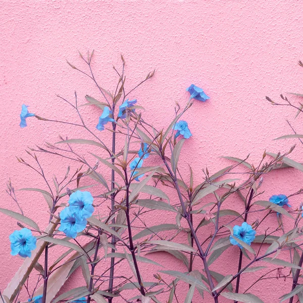 Plants on pink design concept. Romantic blue flowers on pink bac