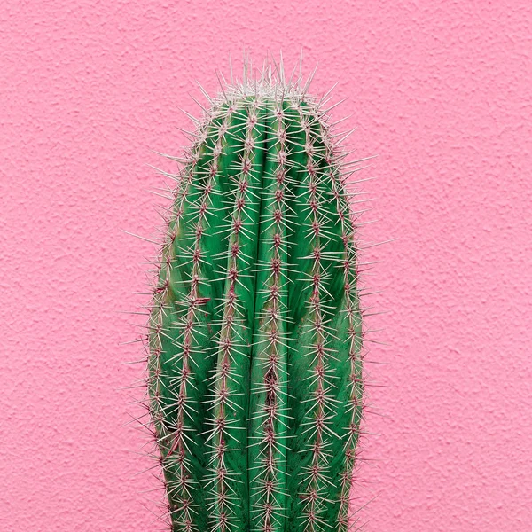 Cactus lover Stock Photos, Royalty Free Cactus lover Images | Depositphotos Cactus lover Stock Photos, Royalty Free Cactus lover Images | Depositphotos