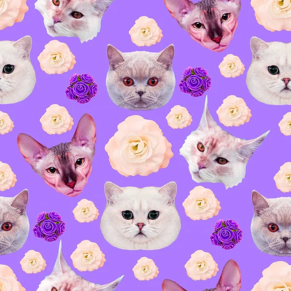 Χωρίς ραφή ελάχιστο πρότυπο. Γάτες πρόσωπο. Χρήση για t-shirt, χαιρετισμός — Φωτογραφία Αρχείου