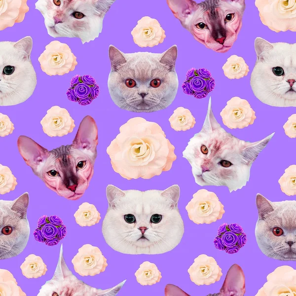 Seamless minimal  pattern. Cats face. Use for t-shirt, greeting 
