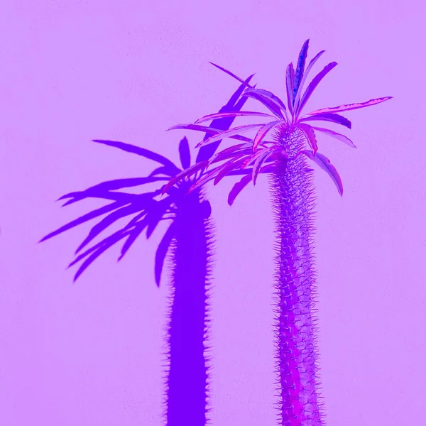 Palmier sur mur rose. Minimal tropical. Ombre couleurs violettes — Photo