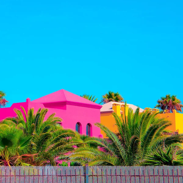 Palme Urban Tropical colorate vibrazioni di viaggio di moda. Canarie — Foto Stock