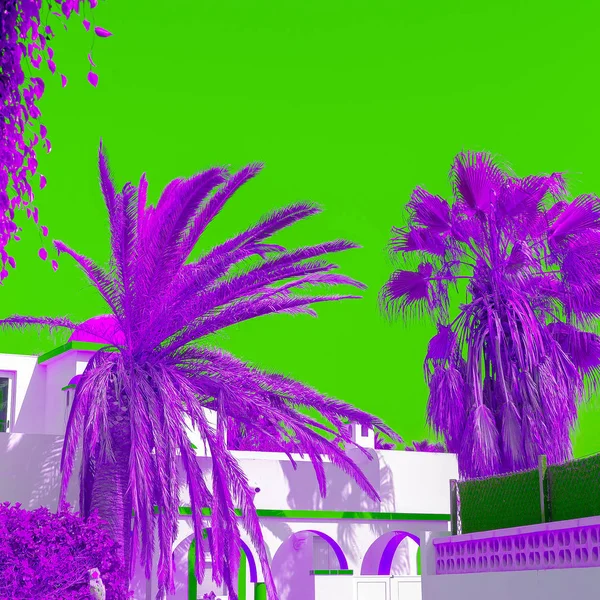 Palme Isole Canarie Arte variopinta del disegno di modo — Foto Stock