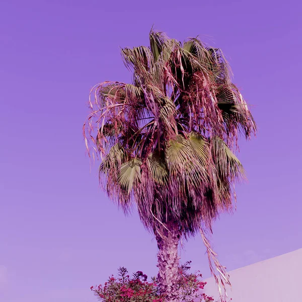 Palms of Violet Minimal style fashion travel art — Stock Photo, Image