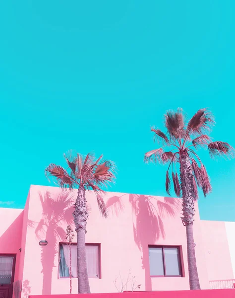 Isola delle Canarie. Il palmo. Tendenza dei colori rosa pastello. Viaggi di moda v — Foto Stock