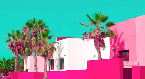 カナリア島。パーム。ピンクのパステル色の傾向。ファッション旅行 v — ストック写真