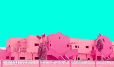  Pembe renkli kavramı. Tropikal. Kanarya Adaları 