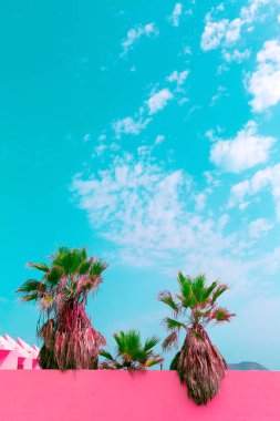 Kanarya Adaları. Bitki pembe moda kavramı üzerinde. Seyahat vibes