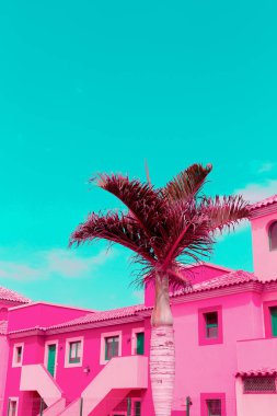 Tropikal yaratıcı renkli sanat. Kanarya Adası. Palm seyahat ruh hali