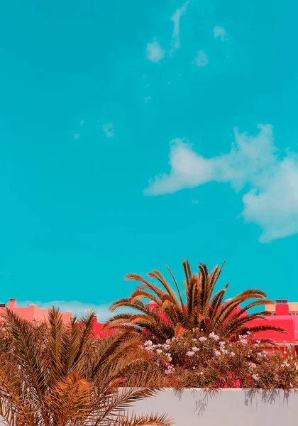 Ilha Canária. Palma localização tropical. Ideal para cartão de viagem — Fotografia de Stock
