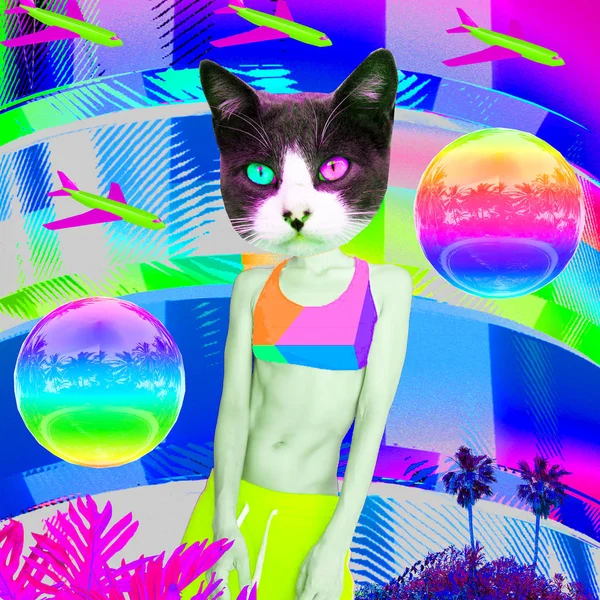 Contemporary art collage. Kitty Beach Mood. Zine culture concept — Stock Photo, Image