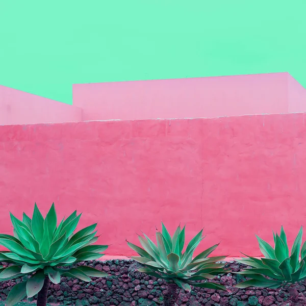 Minimal plants on pink design. Aloe. Plant lover concept