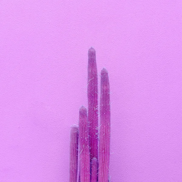 Diseño de plantas de moda. Amante de los cactus. humor púrpura creatve — Foto de Stock