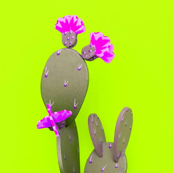 Cactus decor home. Minimal flat lay art — Stock Photo, Image