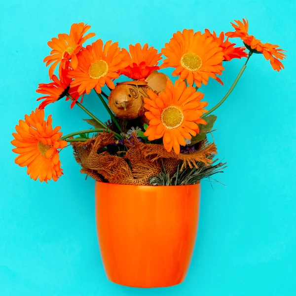 Gerbera floresce em um pote. Decoração de casa. Mínimo — Fotografia de Stock