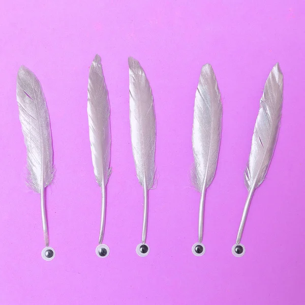 Silver fjädrar minimal Flat Lay mode kreativ konst — Stockfoto
