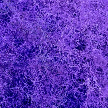 Spins doku arka plan. Bitki doğa sanatı