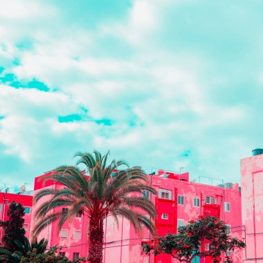 Kanarya adası. Pembe moda konsept sanatı üzerine bitkiler