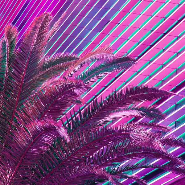 Palm. Tropikal tasarım. Yaratıcı renkler — Stok fotoğraf