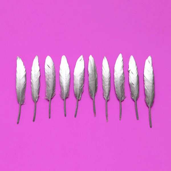 Silver fjädrar minimal Flat Lay art — Stockfoto