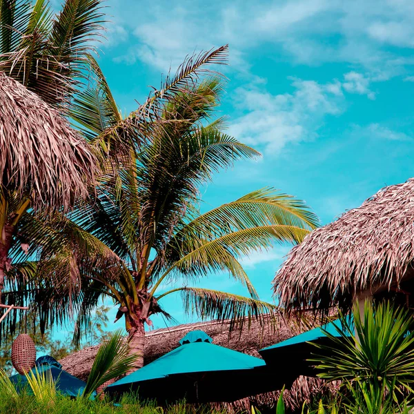 Reisekonzept. Vietnam. tropische Lage am Strand — Stockfoto