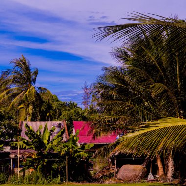  Tropikal doğa. Vietnam. Plaj tatil ruh hali