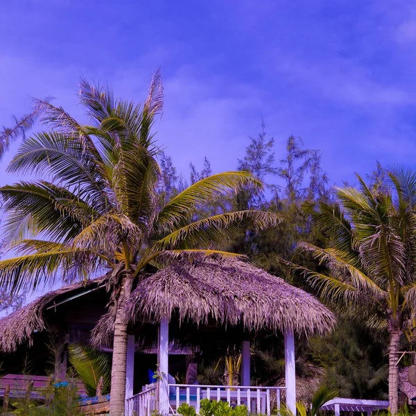 旅行理念。越南。海滩棕榈位置 — 图库照片