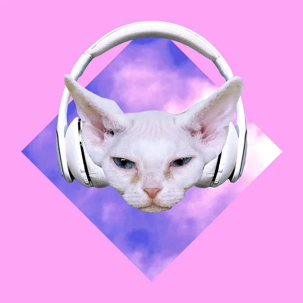 Fashion Minimal art collage.  White Kitty Dj music vibes — Stock Photo, Image