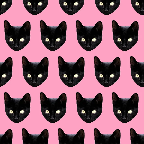 Bezszwowy wzór. Czarny Kitty. Użyj do koszulki, kartki okolicznościowe, — Zdjęcie stockowe