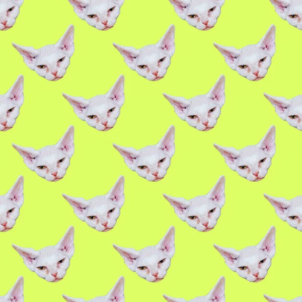 Seamless pattern. White Kitty.Use for t-shirt, greeting cards, w — Stock Photo, Image