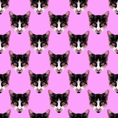 Dikişsiz desen. Moda pisi yüz. T-shirt, tebrik için kullanın 