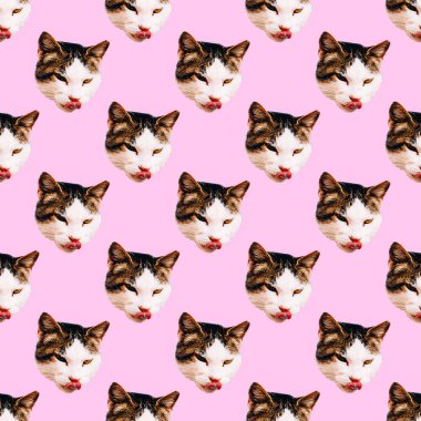 Dikişsiz desen. Kitty yüz