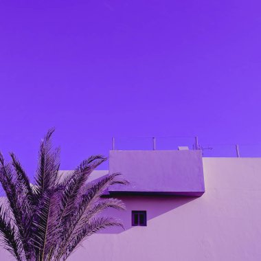 Palm. Mor. Tropikal bir yer. Seyahat moda konsepti. Kanarya 