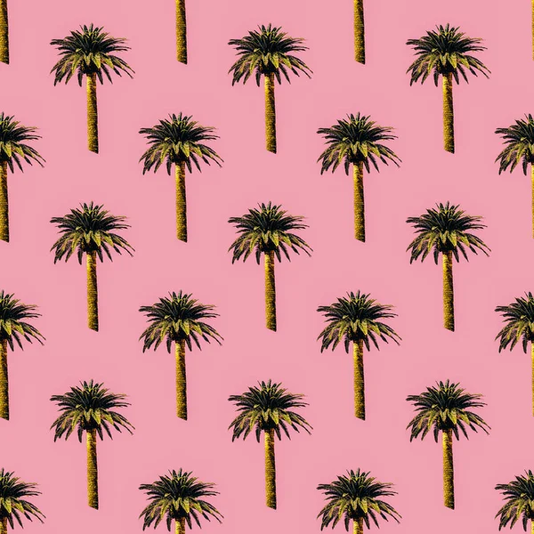 Seamless pattern. Palm tree.Use for t-shirt, greeting cards, wra