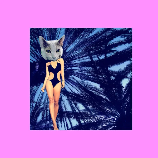 Contemporary art collage.  Beach kitty  fashion mood — Stock Photo, Image