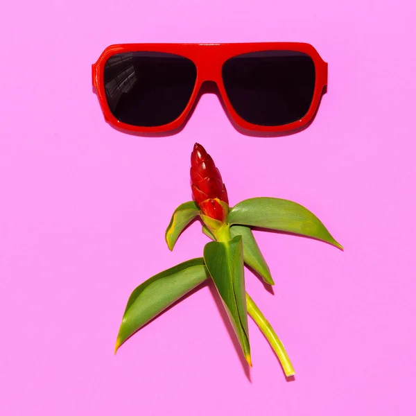 Trendiga röda solglasögon. Snyggt tillbehör. Flat Lay — Stockfoto