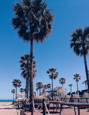 Beach. Palm. İspanya. Seyahat konsepti