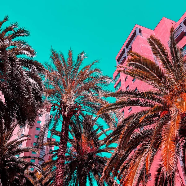 Palm Urban location. Mode resekoncept. Spanien — Stockfoto