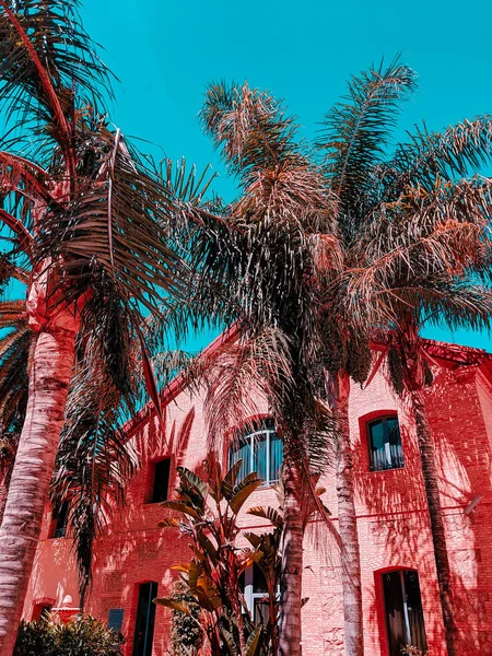 Palm Urban location. Mode resor koncept konst. Spanien — Stockfoto