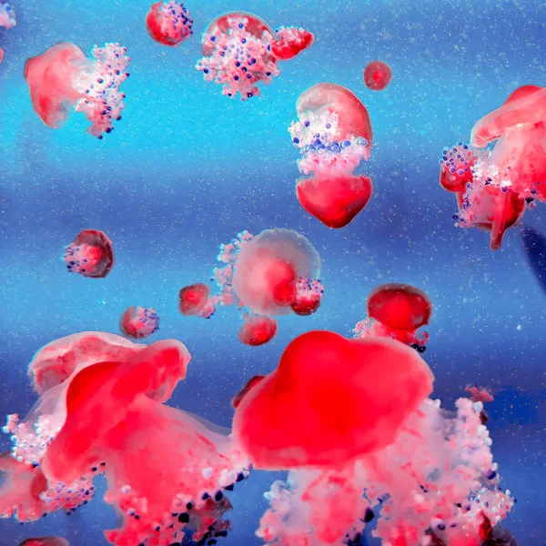 Pink  Jellyfish underwater. Ocean lover concept creative art