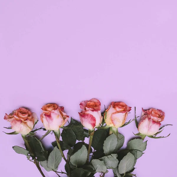Bukett av rosor på en rosa bakgrund minimal Flat Lay art — Stockfoto