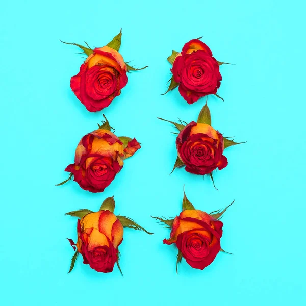 Röda rosor på blå bakgrund. Minimal Flat Lay art — Stockfoto