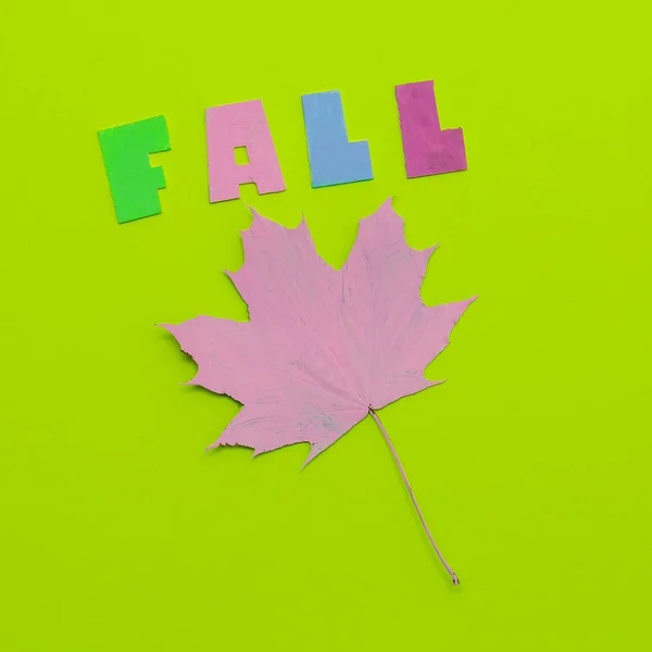 Creative uppifrån och ned Flat Lay fall koncept. Målade färska blad. M — Stockfoto