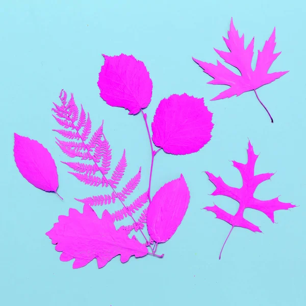 Podzimní skladba malovaných listů. Minimální plochý laický výtvarník — Stock fotografie