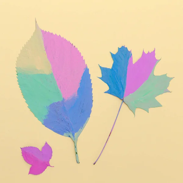 Herbst Jahreszeit Malerei Farbe — Stockfoto