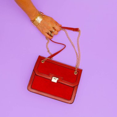 Moda çantası ve şık mücevherler. Moda Kadın Aksesuarları