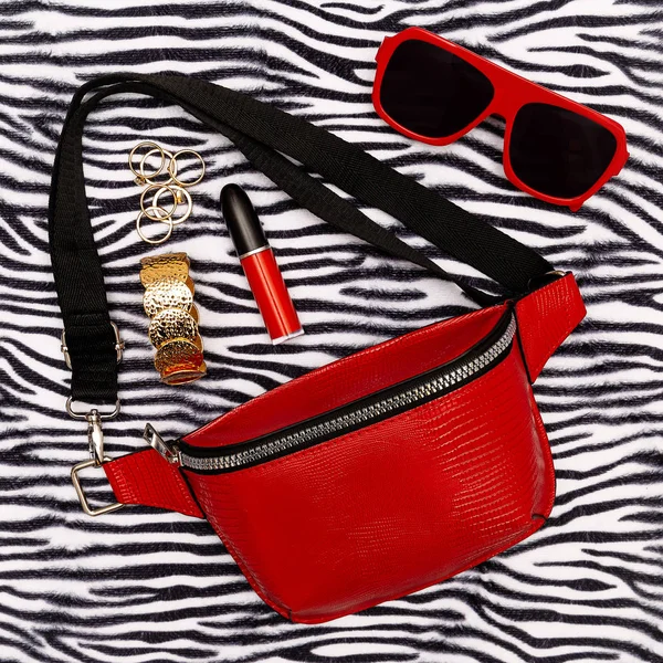 Stijlvolle rode clutch tas, accessoires en cosmetica en dierlijke pri — Stockfoto